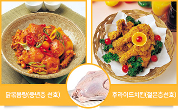 닭볶음탕