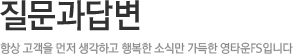 질문/답변